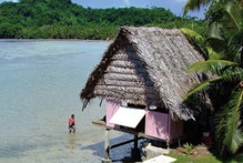 Pure Fiji. Photo / Supplied.