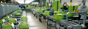 Packing operations at Seeka