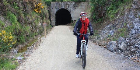 The Clutha Gold Trail is a cyclists' dream. Photo / Paul Rush