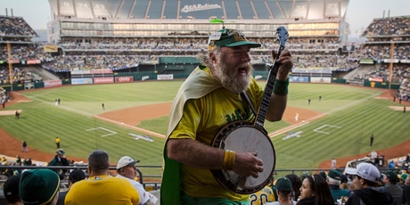 Baseball fans enjoying the show. Photo / AP