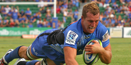 Angus Cottrell of the Force dives for a try against the Rebels. Photo / Getty Images
