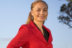 Inquiry member Marama Davidson said interviews with victims of domestic violence and frontline workers had concluded in January.