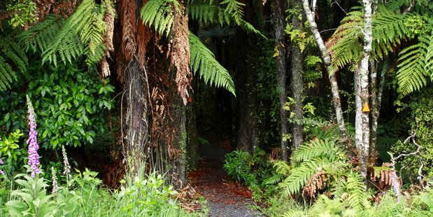 Photo / Thinkstock