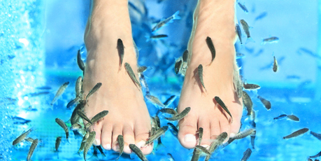 Photo / Thinkstock