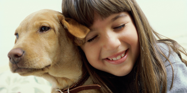 The results showed that all five scents elicited a similar response in parts of the dogs' brains involved in detecting smells. Photo / Thinkstock