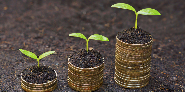 Photo / Thinkstock