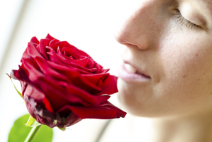 Photo / Thinkstock