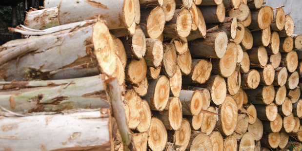 CHH has admitted its part in anti-competitive activity in which three big Auckland suppliers agreed to sell structural timber at a set price between Sept 2012 and March last year. Photo / Thinkstock