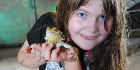 Getting up close at Butterfly Creek's junior keeper programme.