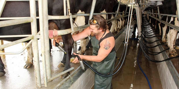 Surging dairy exports have helped produce the smallest annual deficit in dollar terms since June 2012. Photo / APN