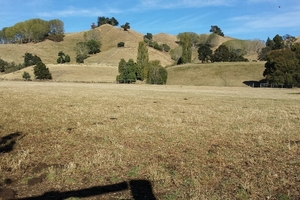 Photo / Wanganui Chronicle