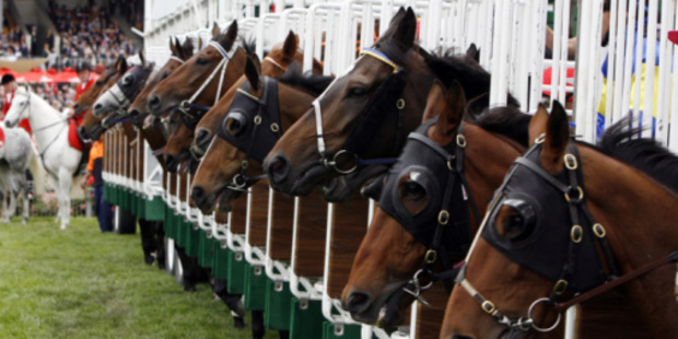 Randwick here we come. Miss Mossman easily wins the NZ Oaks at Trentham on Saturday. Photo / Thinkstock