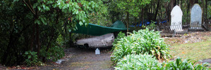 The scene of the sexual assault at the Symonds Street Cemetery Auckland. Photo / Doug Sherring