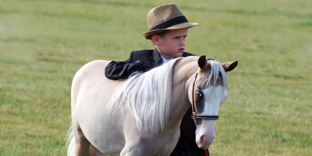 Lukas Atkins is a member of the Miniature Horses association and has great fun showing his miniature pony.