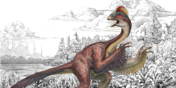 This illustration provided by the Carnegie Museum of Natural History shows the dinosaur Anzu wyliei - a birdlike animal, about 7 feet tall, nicknamed the 'chicken from hell'.
