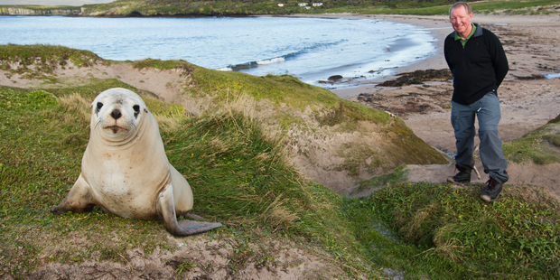 MP Dr Nick Smith stands near a juvenile Sea Lion on Enderby Island within the Auckland Island group. Photo / Greg Bowker