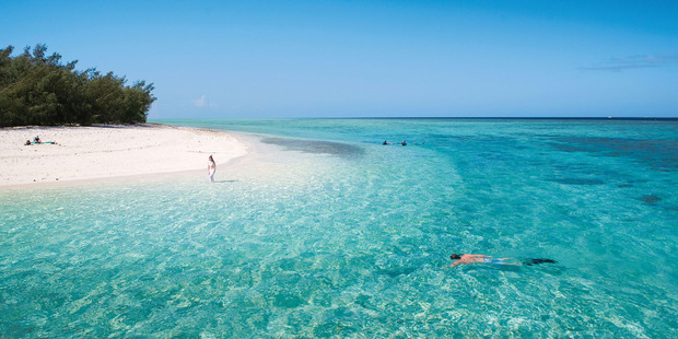 Heron Island is bursting with curious birdlife, crawls with nesting turtles in season, abounds in aquatic mammals and is full of fish that instantly indulge in feeding frenzies.