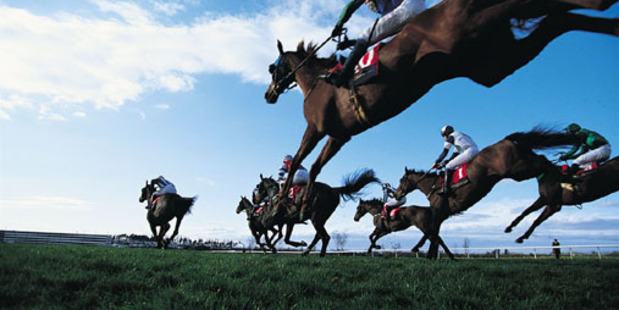 Stephen McKee's Passing Shot deserved his juvenile win. Photo / Thinkstock