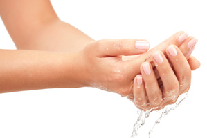 Photo / Thinkstock