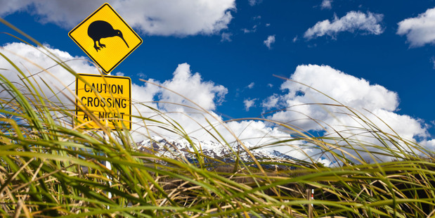 Photo / Thinkstock