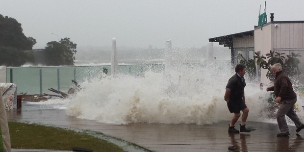A close call on the Paihia waterfront yesterday. Photo / Ross Griffin