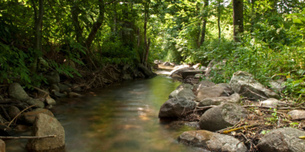 More than 60 per cent of monitored rivers in New Zealand are unsafe for swimming. Photo/Thinkstock