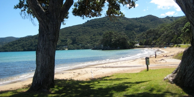 The beautiful Great Barrier Island.