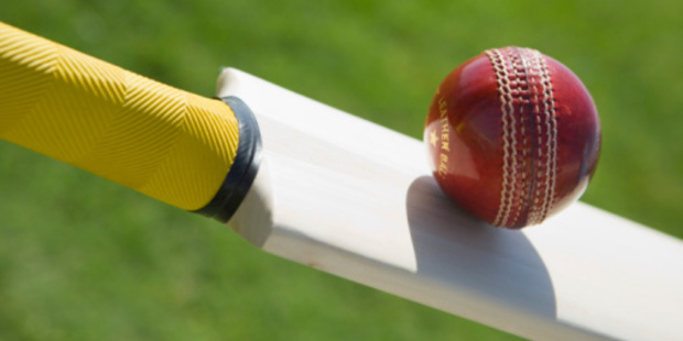 Auckland and Wellington also got a good look at each other before their playoff showdown on Sunday. Photo / Thinkstock