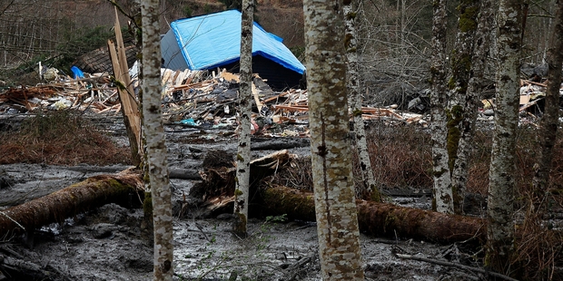 The mudslide destroyed several homes and blocked the Stillaguamish River in Washington state. Photo /AP