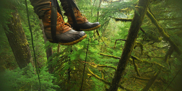 Tree-climbing at the Pacific Tree Climbing Institute in Oregon takes nerve but the sense of achievement once you're at the top is immense.