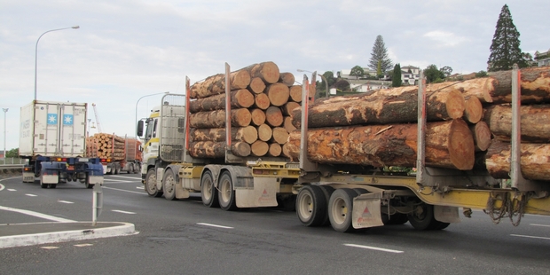 Some of the congestion the Napier Gisborne Rail Establishment Group hopes will end if the Government and/or KiwiRail opens the line and the Hawke's Bay Regional Council invests in a new business to lease the line and locomotives and run a rail freight operation as logging volume increases to about a million tonnes annually over the next few years. The trucks lined Breakwater Rd past the Napier Port entrances on Thursday evening. Photo/Doug Laing