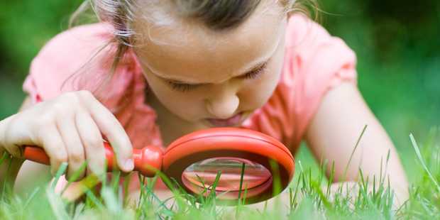 Non-scientists can help with research projects and log family findings with national data bases. Photo / Thinkstock