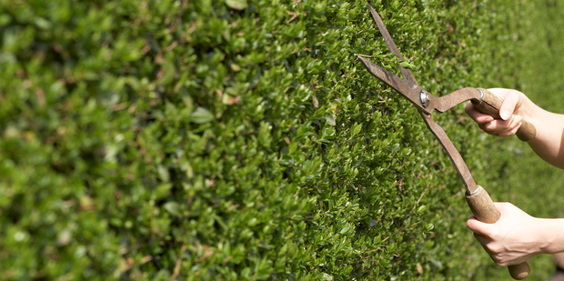 Striving for the straight line is a place of quiet and calm. Photo / Thinkstock