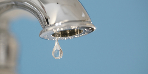 New Health argued that adding fluoride breached people's right under the Bill of Rights Act to refuse medical treatment.