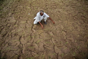 An Indian farmer shows a dry, cracked paddy field in Ranbir Singh Pura, 34km from Jammu, India. Pictures / AP