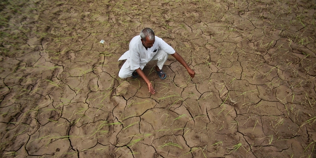 An Indian farmer shows a dry, cracked paddy field in Ranbir Singh Pura, 34km from Jammu, India. Pictures / AP
