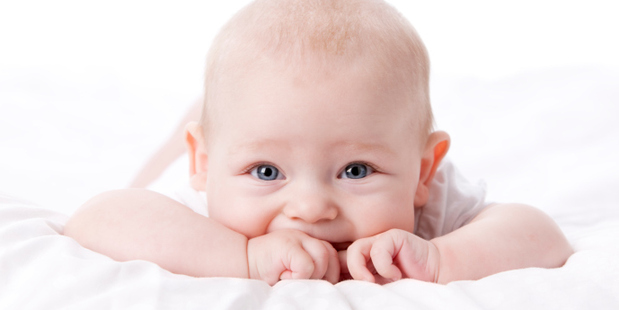 Photo / Thinkstock
