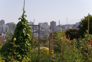 Would you like to see Garden Place transformed into a community garden like this one in San Francisco?