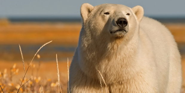 "Climate change is as rich with opportunity as it is with danger," Chris Field, co-chairman of the working group of the IPCC. Photo / Thinkstock