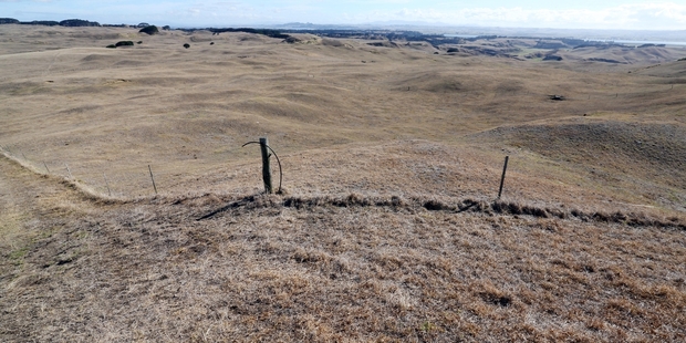 Droughts such as that currently afflicting Northland's west coast - this photo was taken at Pouto last week - are likely to become more common, according to a new UN report. Photo/John Stone