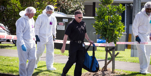 Police are working to identify the victim of the attack. Photo / Michael Craig