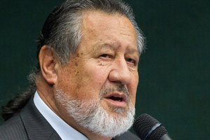 Maori Affairs Minister Pita Sharples. Photo / Stephen Parker