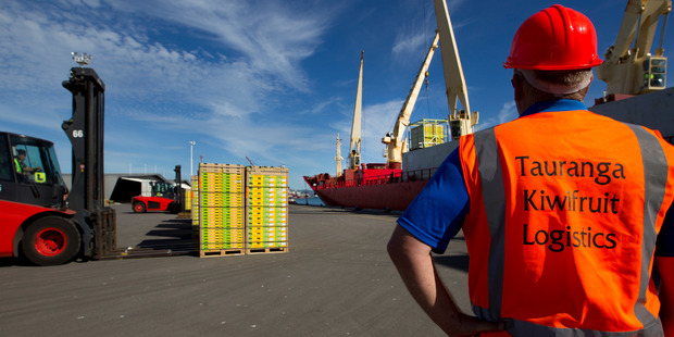 The first consignment of kiwifruit for the 2014 season is loaded aboard a ship at the Port of Tauranga. Photo / Alan Gibson.