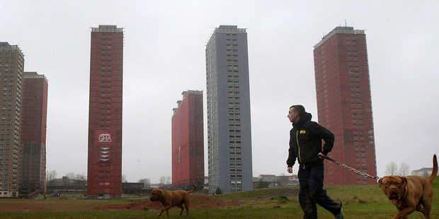 A man walks his dog near the 30-story Red Road apartment blocks which were built in the 1960s as modern replacements for slum housing in Glasgow. Photo / AP
