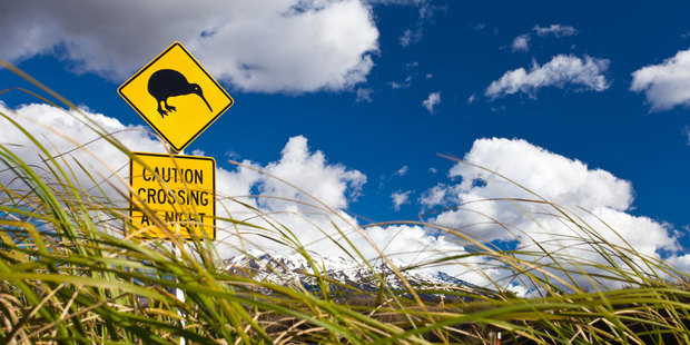 Photo / Thinkstock