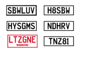 These personalised plates are all available. Get in quick. Photo / plates.co.nz