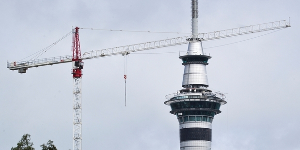 The largest tower crane in Auckland, run by Fletcher Construction, sits above Auckland University. Photo / Greg Bowker