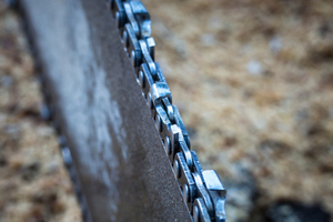 Photo / Thinkstock