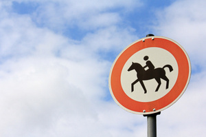 A horse owner may face charges after the animal bolted in the middle of the city, hit a car and had to be put down. Photo / Thinkstock