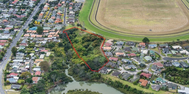 The 9719sq m area being sold is bordered by houses, the Whau River and the Avondale Racecourse.